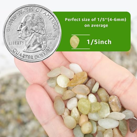 5lbs Natural Gravel Pebbles for Succulents and Cacti, 1/5 Inch Decorative River Stones – Perfect for Vases, Aquariums, Terrariums, and Outdoor Gardening, Mixed Colors (Jade, 5 Pounds)