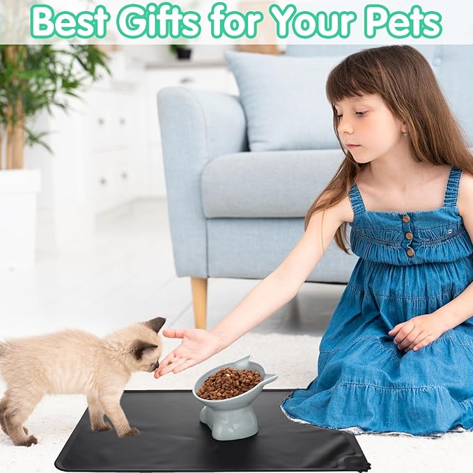 3 Pcs Elevated Cat Bowls 15° Raised Cat Food Bowl with Silicone Pet Food Mat Anti Vomiting Cats Dishes Pet Food and Water Bowls for Indoor Cats and Small Dogs(3 Colors)