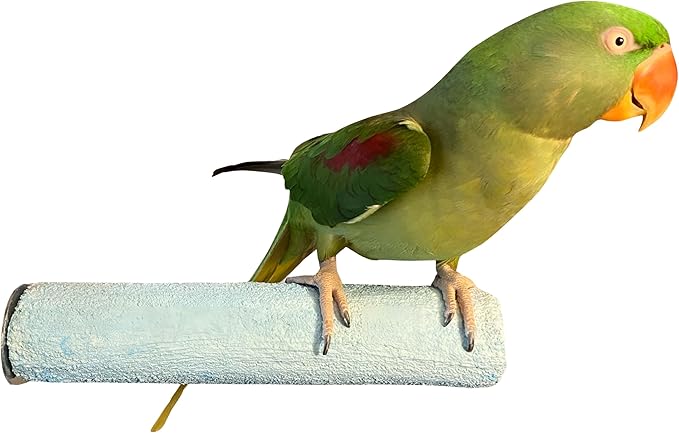 Polly's Pastels Nail Trimming & Beak Conditioning Safety Perch for Cockatiels, Cockatoos, Macaws, Parakeets, Budgies, Parrots and All Other Birds (Blue, X-Large-2" Dia. x 9" Long)