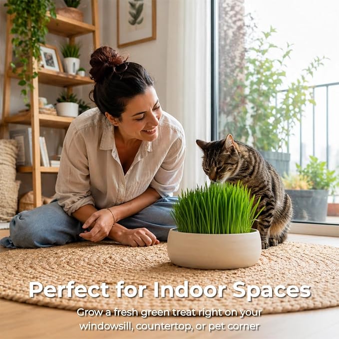 18oz Cat Grass Seeds Bulk - Over 14000+ Premium Cat Grass for Indoor Cats & Pets, High Germination Rate & Easy to Grow, Non-GMO Wheat Grass Seed for Planting(510g)