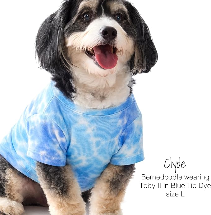 Pet Passion Toby II - The Perfect Tee, 3 Pack Short Sleeve Pet T-Shirt 100% Organic Cotton Tees Clothes for Small, Medium, Large Dogs, Blue Tie Dye, X-Small (5-12 lbs)
