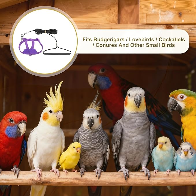 Bird Harness Leash, Adjustable Pet Parrot Bird Harness and Leash Lightweight Anti-Bite Flight Training Rope with Cute Wing, (Purple, S), Intended for Parrots/Pigeons/Budgies