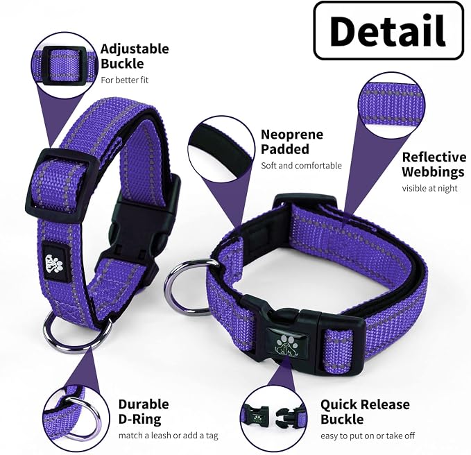 NESTROAD Dog Collar and Leash Set,Reflective Dog Collars with Quick Release Buckle,Adjustable Nylon Pet Collar for Small Medium Large Dogs(Small,Purple)