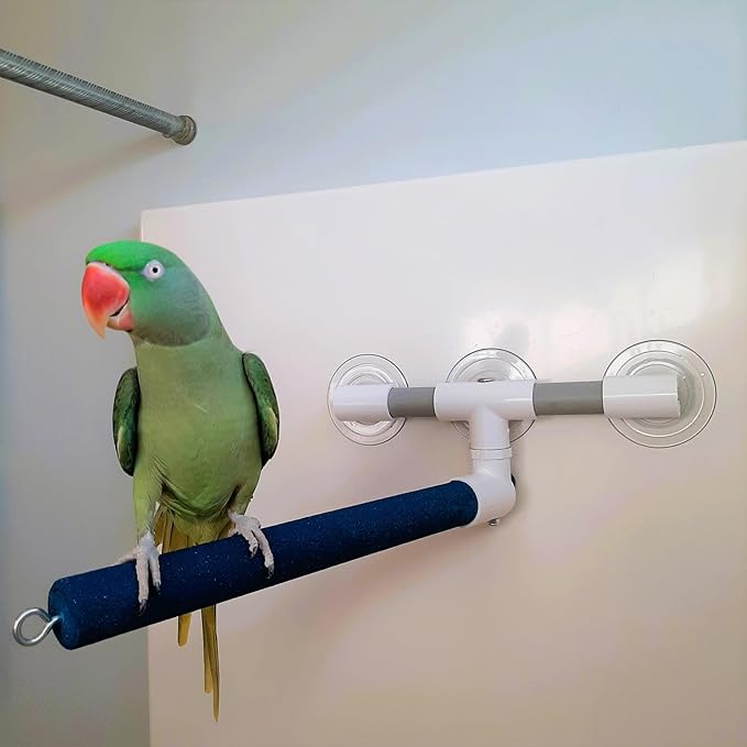 Polly's Sandy Window and Shower Bird Perch, Large