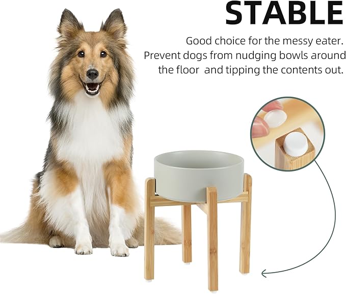Havniva Ceramic 8.2inch Raised Dog Bowl Set, Elevated Feeder with Stand, Food and Water Bowl for Large Breed Dogs, Weighted Pet Dish(60oz, Grey)