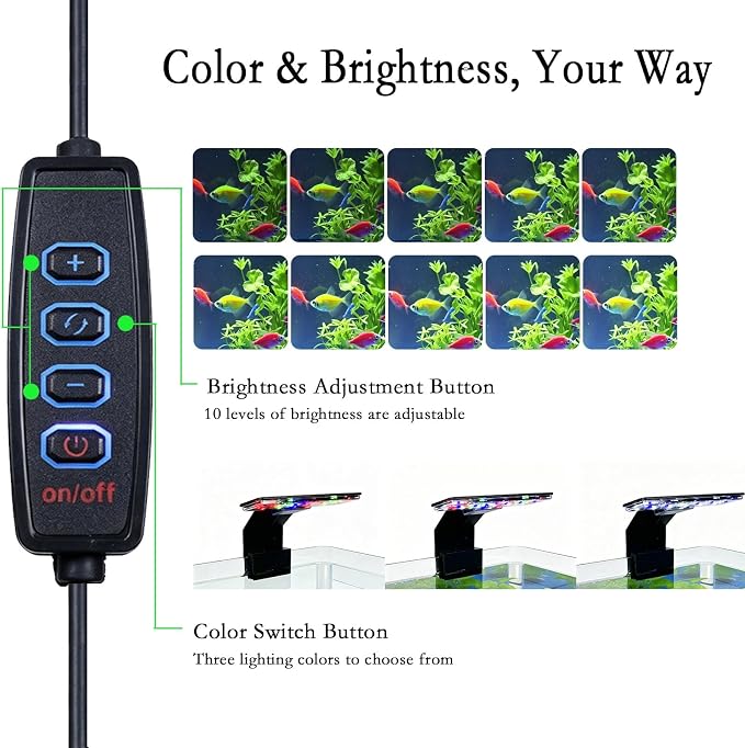 Fish Tank Kit, Small Aquarium Starter Tank with Filter and Light, PC Nano Desktop Tank with Color-Changing LED & Decor - Complete Starter Kit for Betta Fish Shrimp Guppy Goldfish Beta