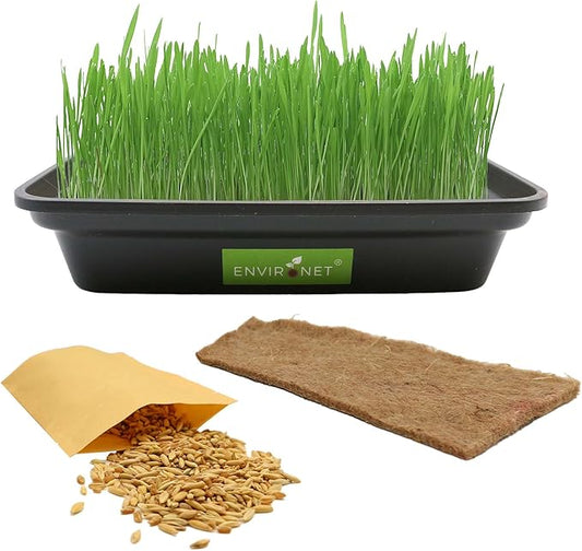 Hydroponic Cat Grass for Indoor Cats | Organic Cat Grass Seeds Mix with Black Low-Top Planter | Pet Safe and Non-GMO | Natural Indoor Grass for Cats' Digestion Health