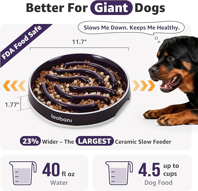 LOOBANI Ceramic Slow Feeder Dog Bowl 11.7" Width - for Large & Great Breeds, Slow Eating, Perfect for Great Danes, Saint Bernards & Mastiffs, Large Dogs (XL, Purple)