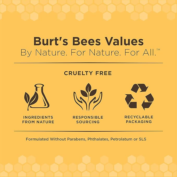Burt's Bees for Pets Kitten Grooming Wipes with Buttermilk and Honey, Waterless Cat Bath Wipes for Face, Paws, Tail and Coat Cleaning, Gentle Bath Alternative for Indoor Felines, 50 Count
