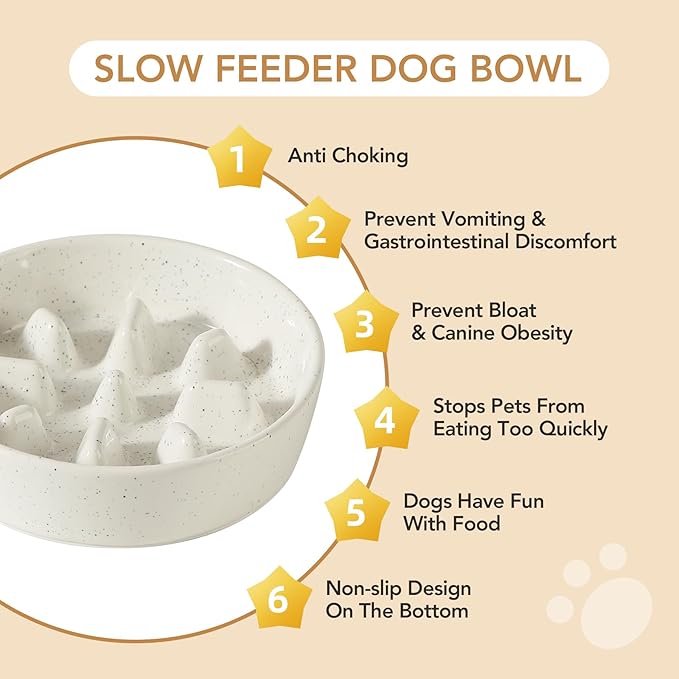 Havniva Elevated Slow Feeder Dog Bowls, 1.2 Cups/7.3 inch Slow Feeders + 6.1 inch Ceramic Dog Food & Water Bowls Set with Acacia Wood Stand Puzzle Bowls for Fast Eater, Small Dogs Anti-Choking