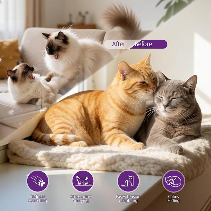 Cat Calming Pheromone Diffuser Kit (30-Day Starter) – 1 Diffuser + 1 x 48ml Refill – Helps Reduce Urine Spraying, Scratching & Fighting – Unscented Stress Relief for Single Room
