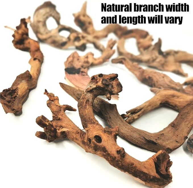 Hamiledyi Aquarium Driftwood 10 PCS Natural Wood Driftwood Branches Fish Tank Habitat Decor Sinkable Reptile Tree Log Decorations Assorted Terrarium Ornament for Aquarium Fish Reptiles Tank Small