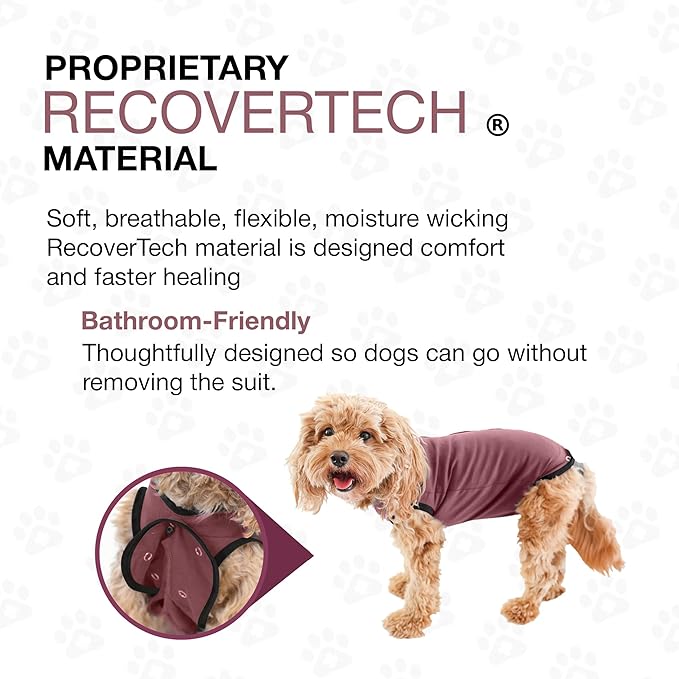 BellyGuard Dog Surgery Recovery Suit, Dog Onesie for Post-Op Care, Recovery Apparel for Female and Male, Surgical Body Cover for Canine Healing Support