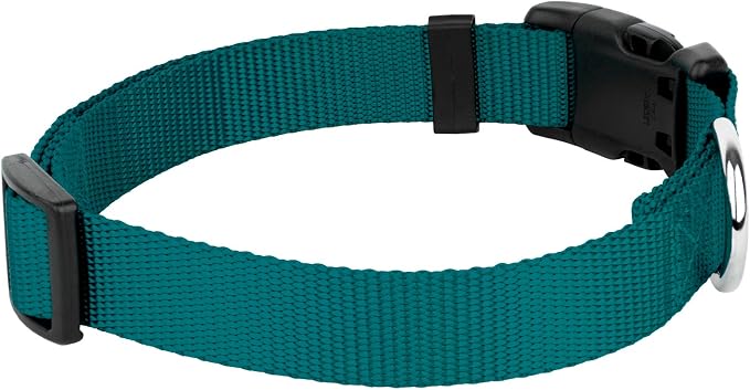 Country Brook Petz - Everyday Nylon Dog Collar and Leash - 10+ Cool Colors (3/4 Inch, Medium, Teal)