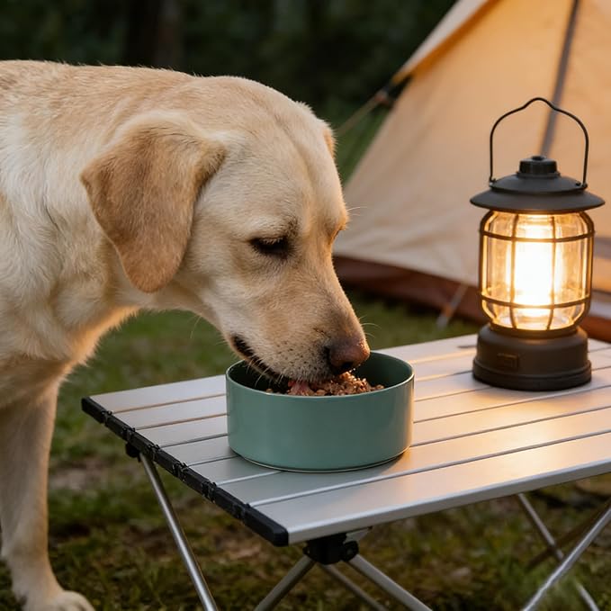 61 oz Large Ceramic Pet Bowl, Non-Slip Anti-Skid Base, Easy Clean Food & Water Feeder for Big Dogs and Cats – Dark Green