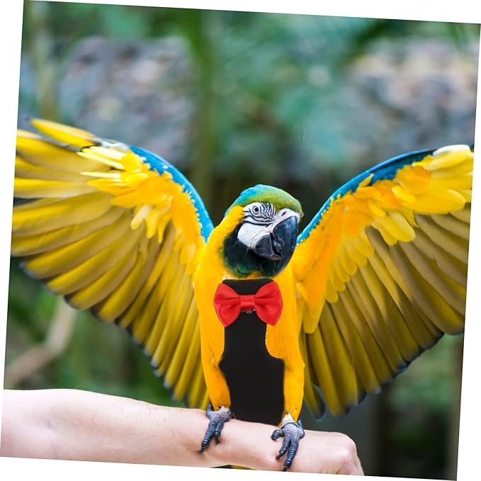 Toyvian Washable Reusable Bird Diaper Parrot Flight Suit with Bow Tie Decorative Clothes for Budgie Parakeet Cockatiel Pet Birds Breathable Comfortable Nappies