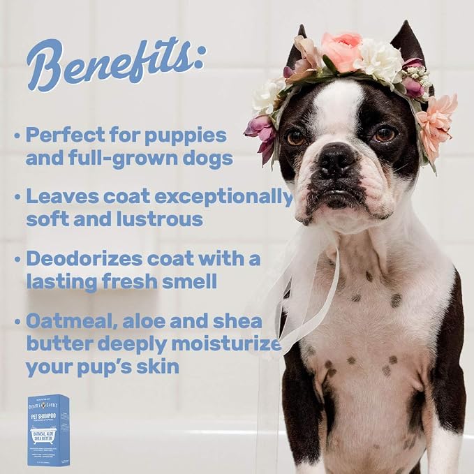 OLIVER'S CHOICE Dog Shampoo with Oatmeal, Aloe & Shea Butter – Deodorizing Puppy Shampoo for Smelly Dogs, Itchy Skin Relief, Paraben-Free, Biodegradable, Cruelty Free – 14 fl. oz