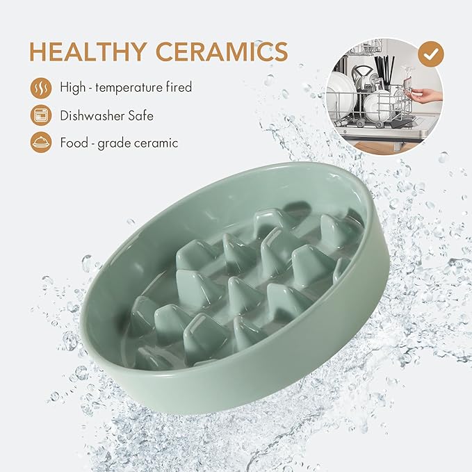 Havniva Ceramic 3.2 Cup Dog Bowl Slow Feeder, 9.5 inch Slow Pet Food Dish for Large Dog, Stop Bloat, Preventing Choking(Single Bowl,Light Green)