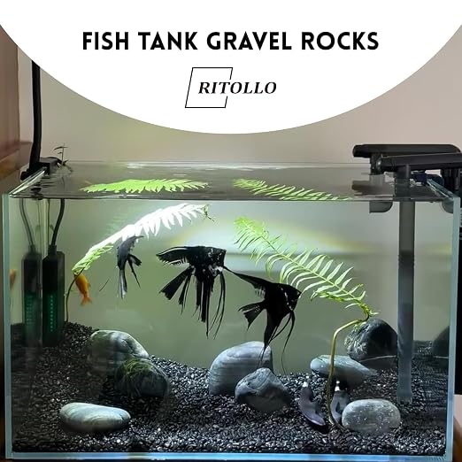 RITOLLO 2.5lb Black Pebble Rocks 3/8-1 Inch Polished Natural Aquarium Gravel Decorative Fish Tank Rocks Garden Landscaping Decor