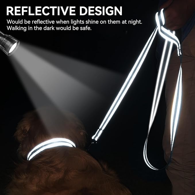 Joytale Dog Leash, 5 FT Double-Sided Reflective, Padded Handle Nylon Heavy Duty Leashes for Medium & Large Dogs Walking, Grey