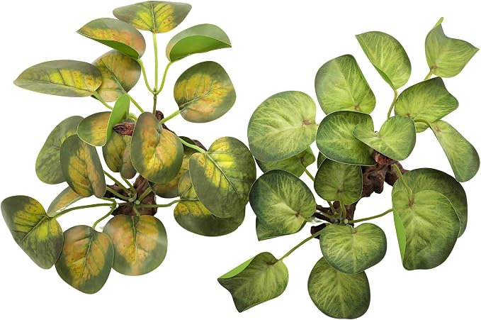 M2cbridge Fish Tank Plastic Soft Grass Water Plants Round Leaves 2pcs | zero maintenance, soft without scratching, healthy underwater home