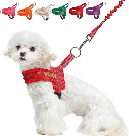 BEAUTYZOO Dog Harness for Small Dogs, No Pull Dog Harness and Leash Set, Soft Escape Proof Puppy Vest Harness with Handle, Reflective Lightweight Step in Harness for Girl Boy Dogs, Red XS