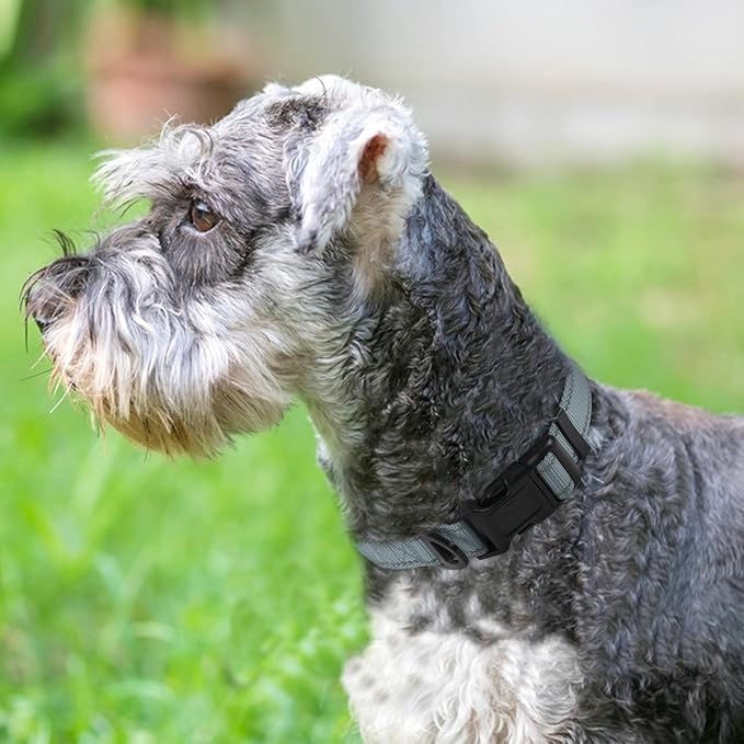 Joytale Reflective Dog Collar, Soft Neoprene Padded, Metal D-Ring, Nylon Pet Collar Adjustable for Medium Dogs, Gray, M