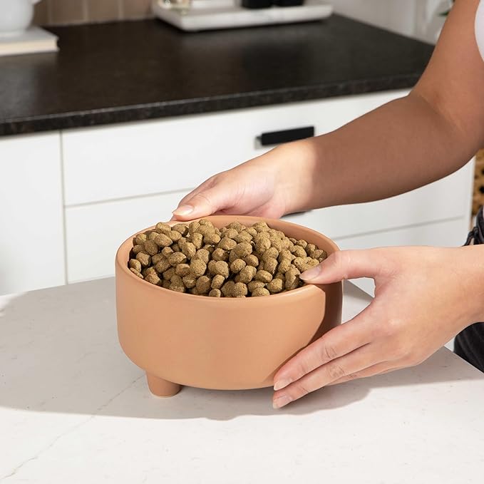 Waggo Uplift Ceramic Dog Bowl for Small Medium and Large Breeds - Heavyweight and Durable Pet Food and Water Dish Crock, Dishwasher Safe, Modern, Elevated Feeder (Clay, Small)