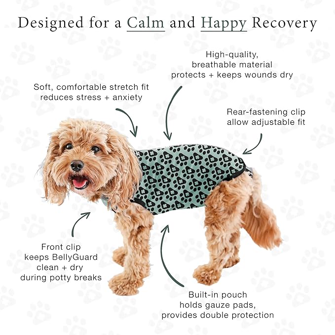 BellyGuard Dog Surgery Recovery Suit, Dog Onesie for Post-Op Care, Recovery Apparel for Female and Male, Surgical Body Cover for Canine Healing Support