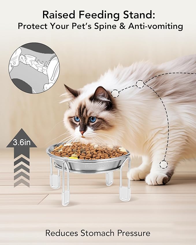Elevated cat Bowl, 6.3" Wide Raised Stainless Steel Cat Food and Water Dishes, Small Dog Bowl, Whisker Friendly, Anti-Vomiting, Neck Stress-Free, Non-Slip Stainless Steel Stand with 4 Legs- 3Pack