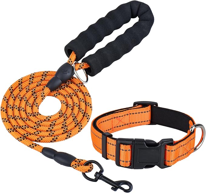 Dog Leash and Collar Set – 6 FT Strong Rope Leash with Padded Handle & Adjustable Nylon Collar Reflective for Small Medium Large Dogs (Orange, L)