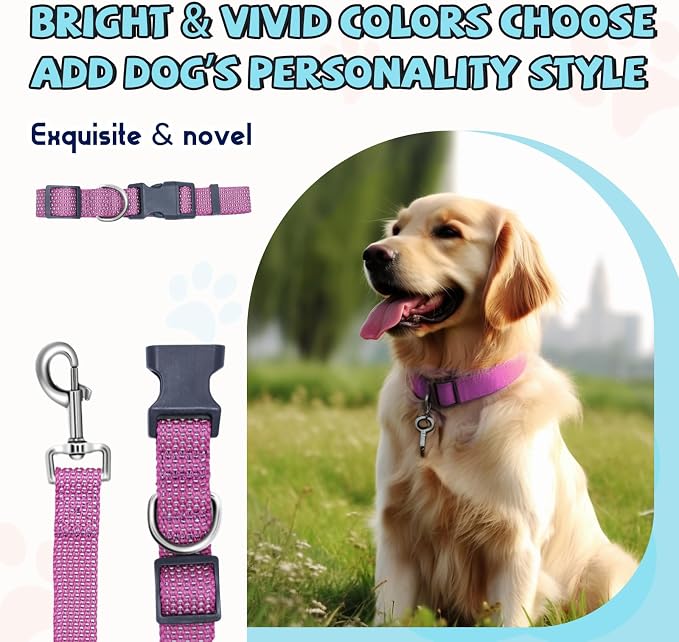 Reflective Dog Collar and Leash Set, Nylon Dog Leash with Heavy-Duty Steel D-Ring, Adjustable with Quick Release Buckle for Small Dogs, Purple S