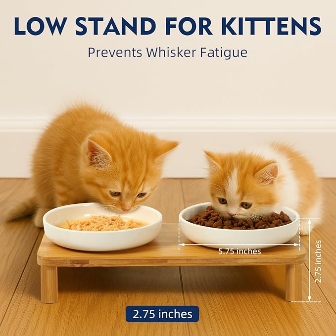 DoogCat Elevated Cat Bowls for Indoor Cats – Raised Bamboo Cat Food Table with 2 Ceramic Dishes, Adjustable Height (4.25"/3.07"), Whisker Friendly Feeding Station