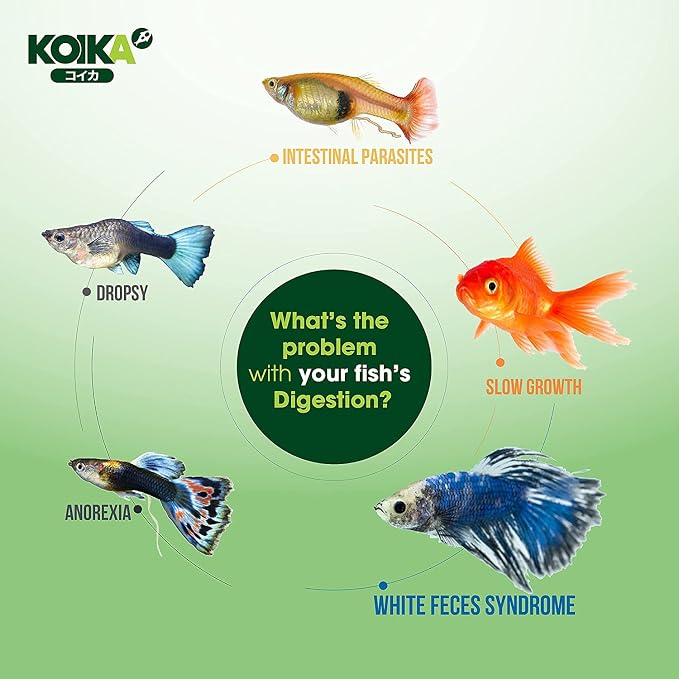 KOIKA BAC+ Aquarium Probiotics for Fish & Shrimp – High-Density Beneficial Bacteria, Pleasant Smell, Supports Disease Resistance & Immunity Boosting (New Formula, 105ml)
