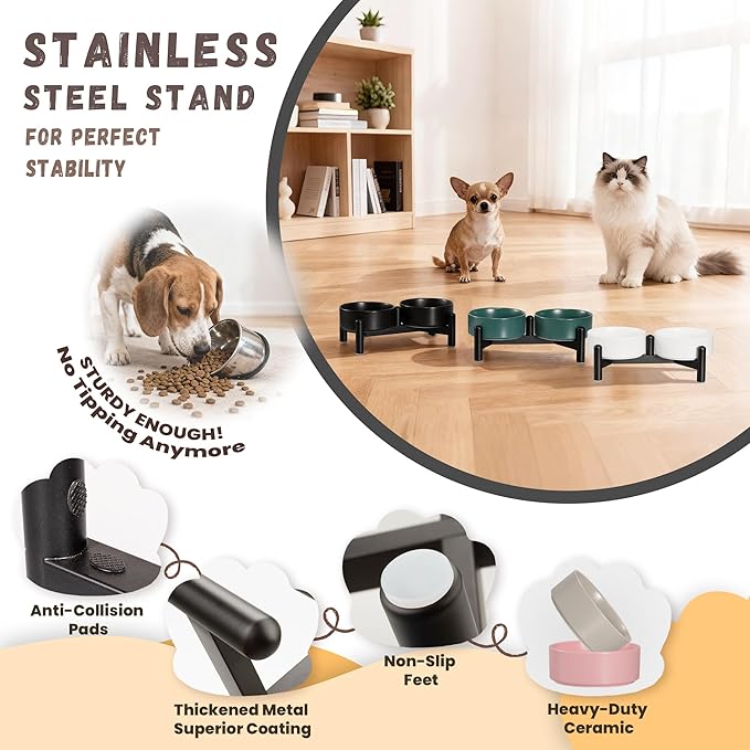 Raised Ceramic Dog Bowl Set - Elevated Double Dishes with Stainless Steel Stand - Food and Water Bowls for Small Dogs and Indoor Cats - Each Holds 1.6 Cups (10.8 fl oz) - Black
