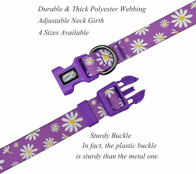 Dog Collar Leash Set, Floral Pattern, Polyester Material, Adjustable Collar and 5ft Matching Leash, for Small Dogs.(S, Purple Daisy)