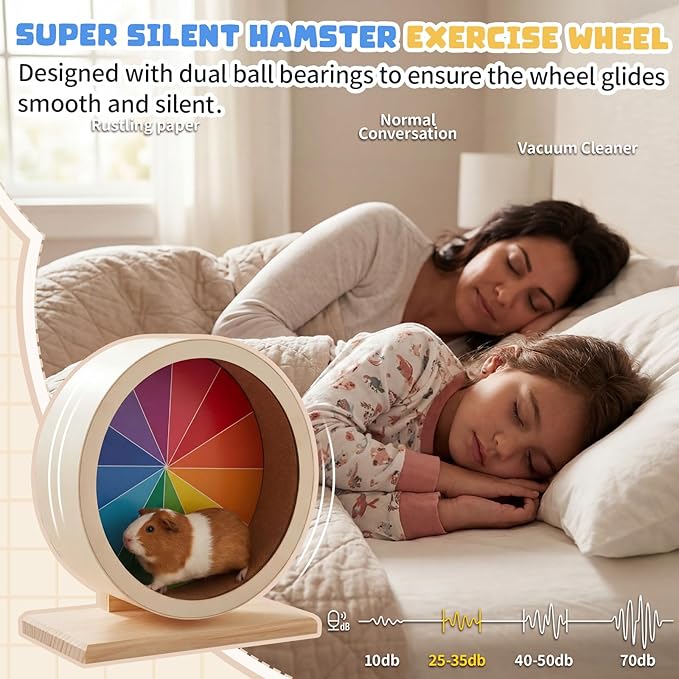 Geelin 12 Inch Hamster Wooden Silent Wheel, Rainbow Printed Small Animal Exercise Wheel, Quiet Spinner Hamster Running Wheels Toys for Hamsters, Gerbils, Mice and Other Small Pets