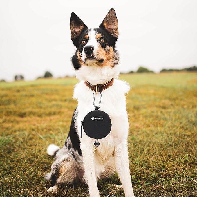 Dog Poop Bag Holder for Leashes- Dog Treat Pouch with Waterproof Zipper,Puppy Training Small Bag with Carabiner & Bungee Toggle,Two Pockets for Dry or Wet Treats-Pet Travel Walking Essentials (Black)