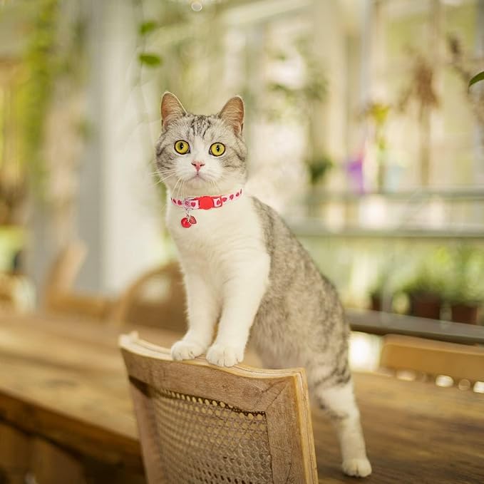 BINGPET Breakaway Cat Collar with Bell, 3 Pack Cat Collars for Girl Cats, Cute Kitty Collars Accessories with Pineapple & Cherry & Strawberry