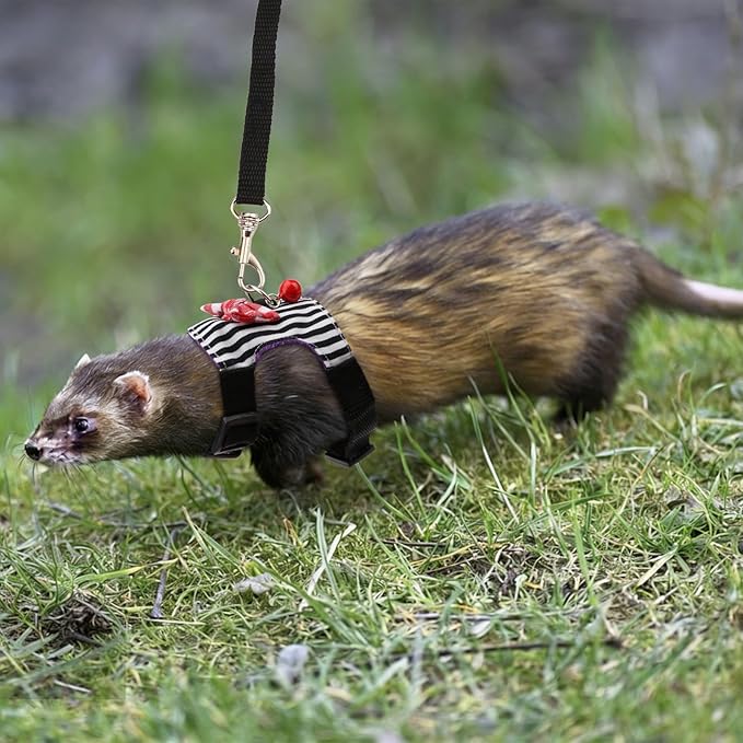 Hypeety Small Animal Harness Vest and Leash Set Soft Mesh Small Pet Harness Hamster Rabbit Chest Back Outdoor Leash Traction Rope for Ferret Guinea Pig Kitten Clothes Accessory (M, Black Stripe)