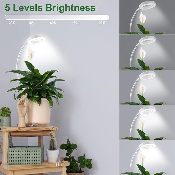 2 in 1 Plant Lights for Indoor Growing, 3 Colors Plant Grow Lights | 48 LEDs Full Spectrum Grow Lights for Indoor Plants with 360° Gooseneck, 6/12/16H Timer, 5 Brightness, White 1 Pack