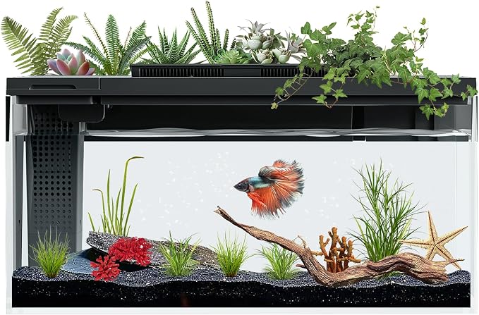 ERAARK 3.7 Gallon Betta Fish Tank self Cleaning,Smart Aquarium Aquarium kit with Filter Light Water Pump (Black)
