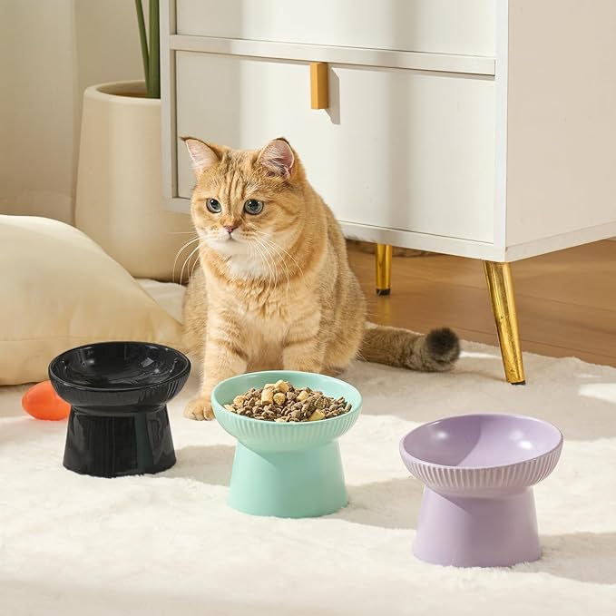 Ceramic Elevated Cat Bowls-Water Bowl, 15° Tilted Design, Anti-Vomiting & Spine Protection, Prevent Whisker Fatigue for Kittens to Adult Cats and Small Dogs (Black-15° Cat Bowls-2)
