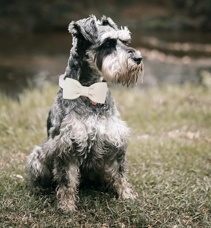 DOGWONG Cotton Dog Collar with Bow, White Pet Collar Wedding Dog Collar Durable Adjustable Dog Collars for Small Medium Large Dogs