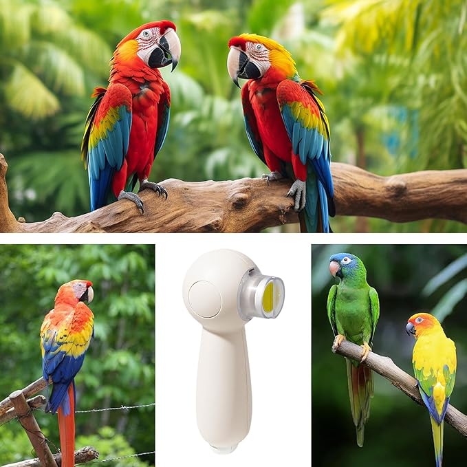 Bird Nail Grinder, Electric Parrot Beak Trimmer, 6 Grinding Heads Tool, 5.12x3.15x1.97 Inches Low Noise Rotary File, 1 Set White Usb Rechargeable, Bird Care for Cockatiel Hamster Small Pet Grooming