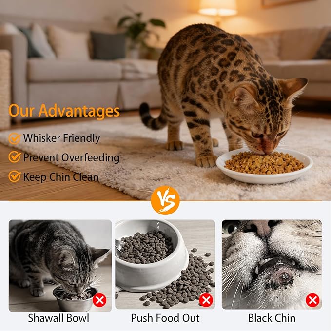 Cat Food Bowls - 6 Pack Whisker Fatigue Ceramic Cats Dishes Set for Indoor Cats, Shallow Wide Kitten Plates for Wet Food and Water, Microwave & Dishwasher Safe