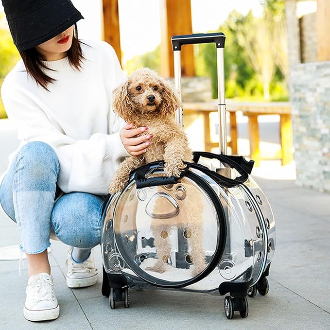 Cat Carrier with Silent Wheels Telescopic Handle, Transparent Bubble Cat Carrier, Pet Trolley Case with Clear Ventilation Holes, Portable Cats Dogs Backpack, Pet Rolling Carrier Bag for Hiki