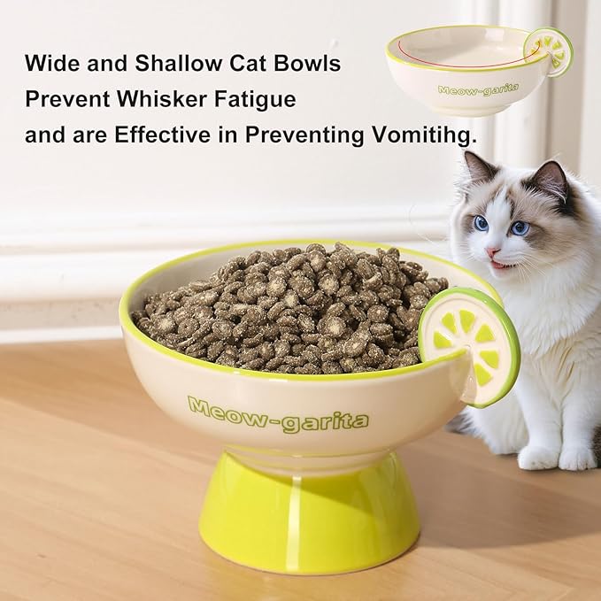 Elevated Cat Bowls Whisker Friendly. Ceramic Raised Whisker Fatigue Cat Bowl for Indoor Cats Protect The Spine and Prevent Vomiting. KGCCIZI