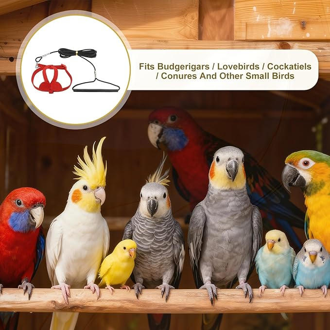 Bird Harness Leash, Adjustable Pet Parrot Bird Harness and Leash Lightweight Anti-Bite Flight Training Rope with Cute Wing, (Red, M), Intended for Parrots/Pigeons/Budgies