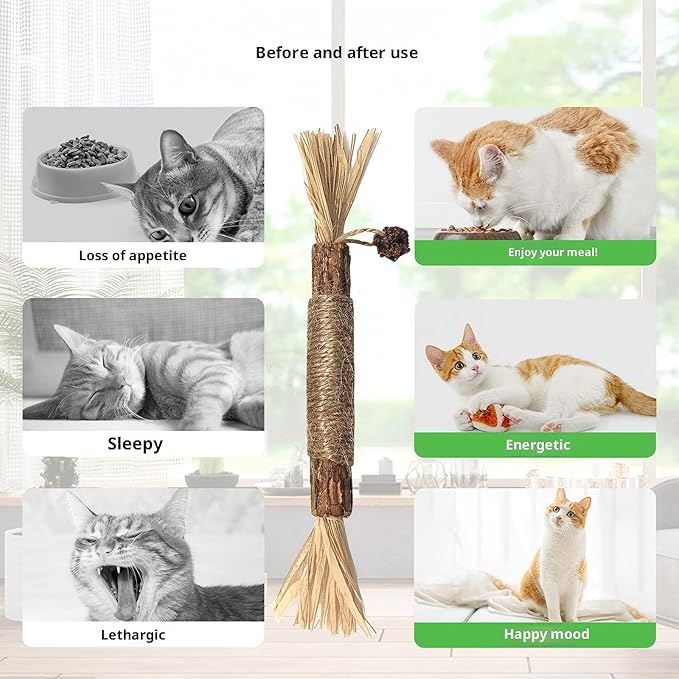 Natural Catnip Silvervine Sticks for Cats, 100% Organic Gall Fruit Mixed Chew Toys for Teeth Cleaning, Potent Cat Treats for Indoor Cats Boredom Relief & Digestive Health, 10 Count